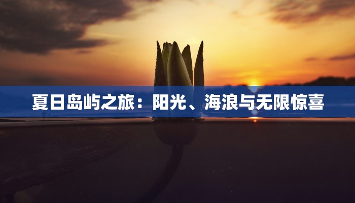 夏日岛屿之旅：阳光、海浪与无限惊喜
