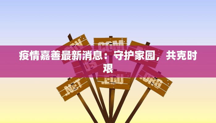 疫情嘉善最新消息:守护家园,共克时艰 疫情嘉善最新消息:守护家园,共克时艰